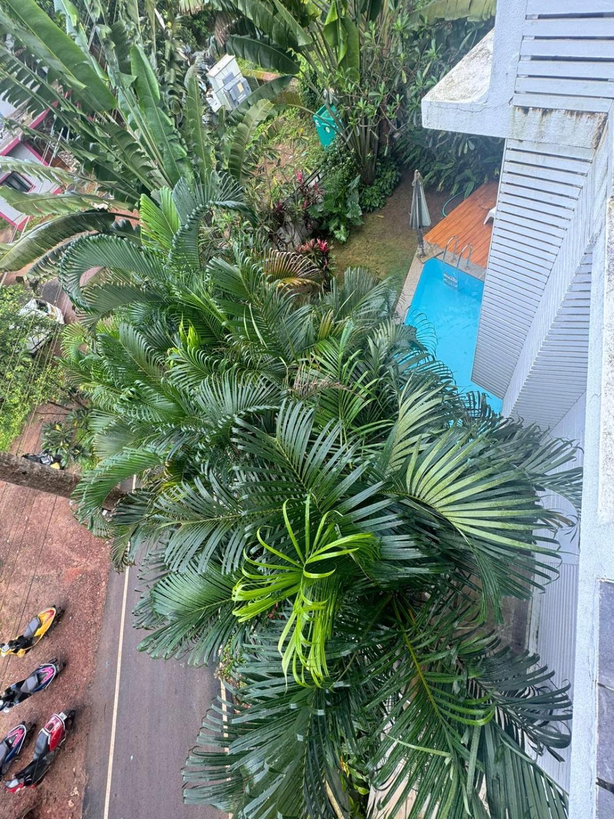 HALF Hotel, Calangute Buitenkant foto
